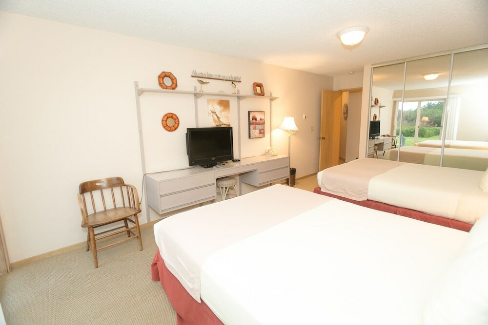 Фото The Grey Gull