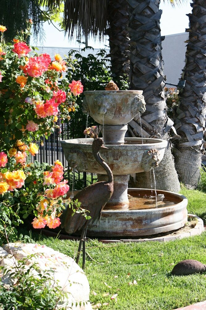 Фото Adelaide Inn