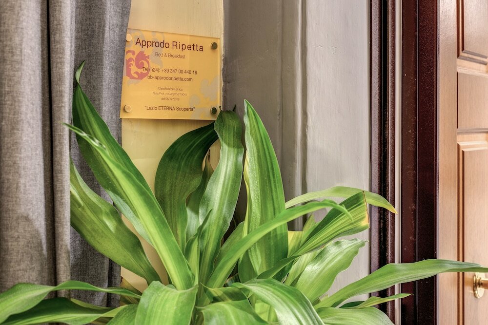 Фото Approdo Ripetta