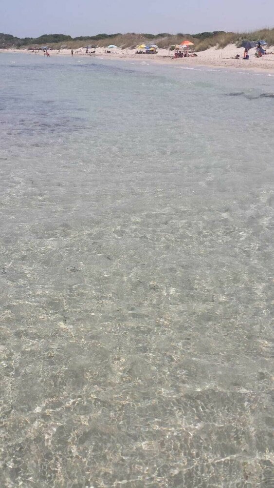 Фото Albatres Palace Hotel