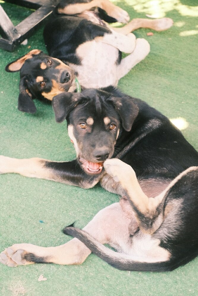 Фото Prithy & Mutta House