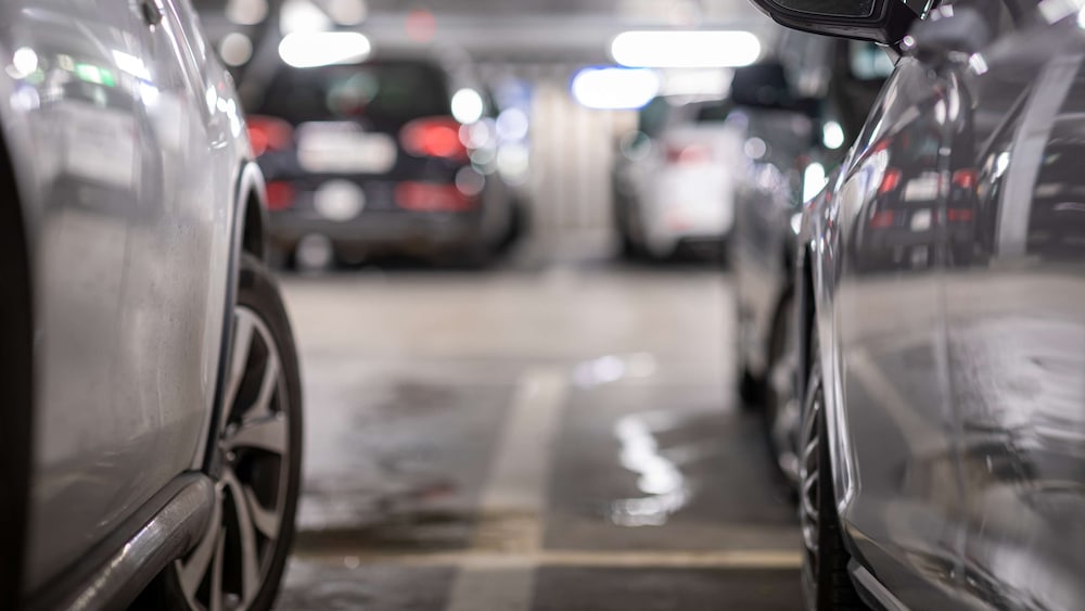 Фото The niu Ridge