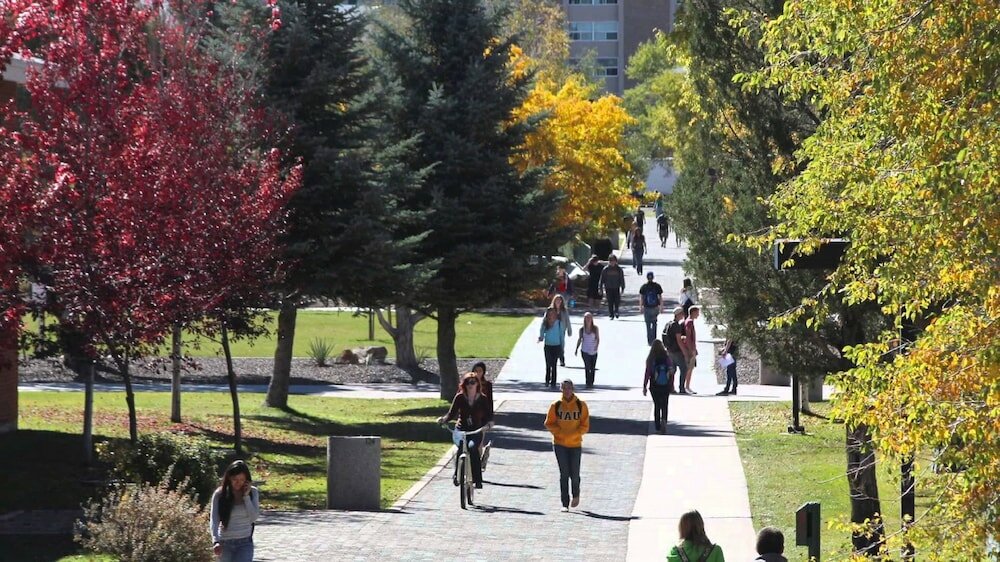 Фото Fairfield Inn & Suites by Marriott Flagstaff Northeast