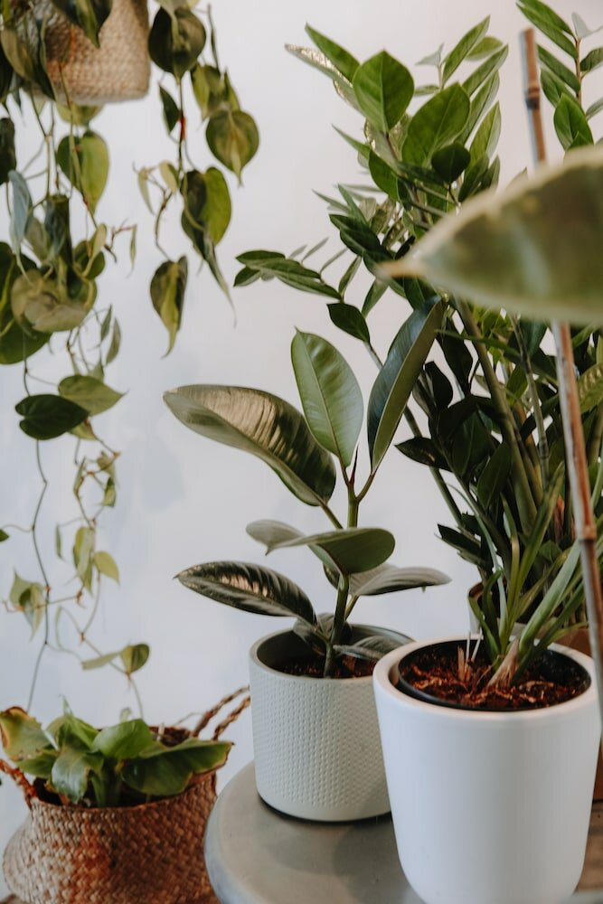 Фото My Brighton