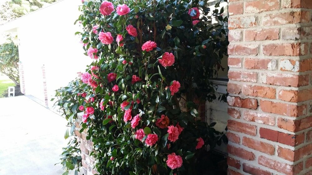 Фото Villa Rivarola