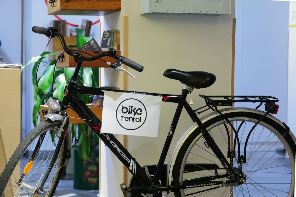 Фото Maverick Hostel & Ensuites