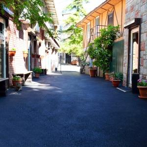 Фото Лилия-1