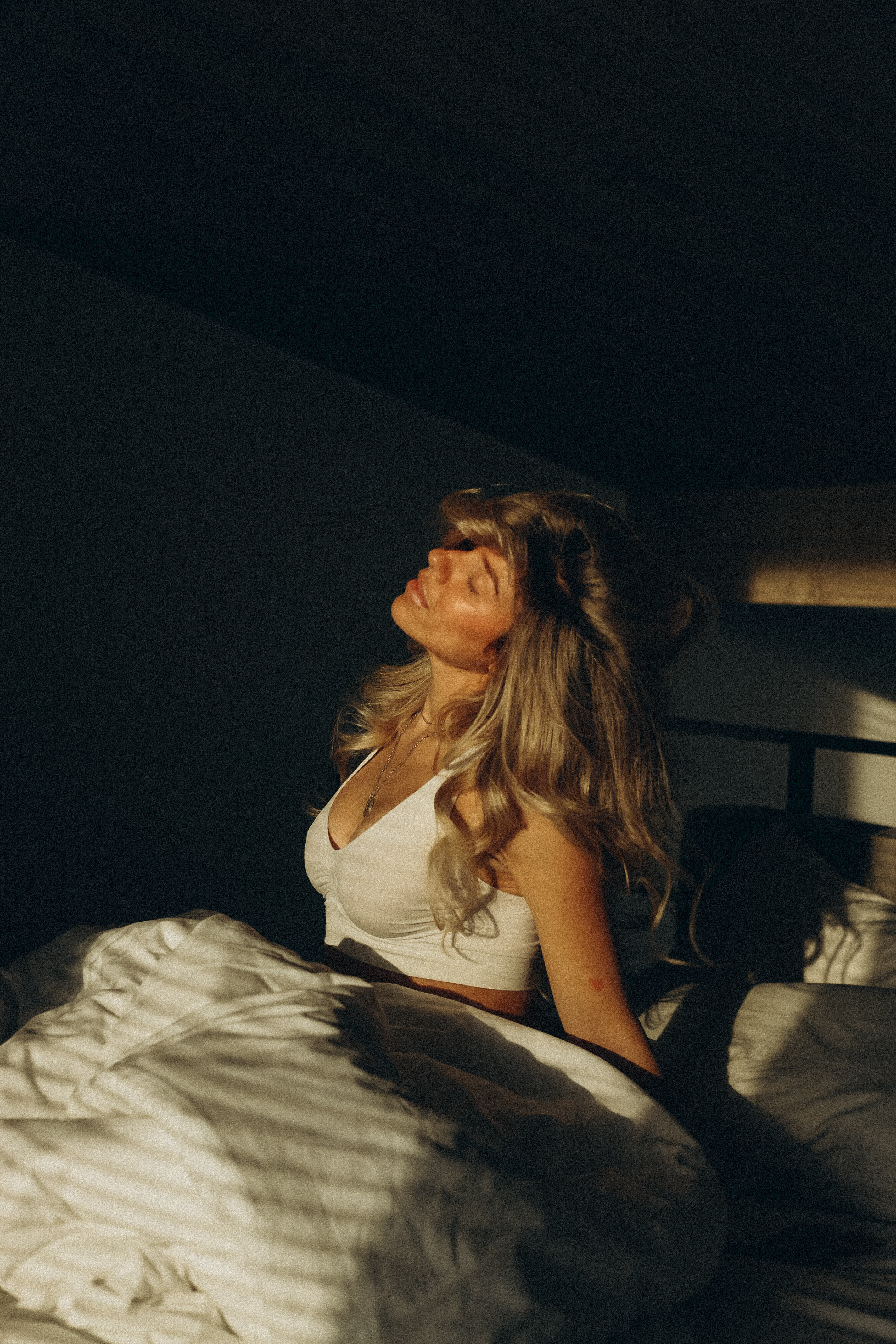 Фото Альпака