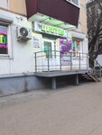 Цветы (Pobedy Street, 82), flower shop