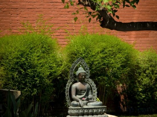 Фото Hotel Yak & Yeti