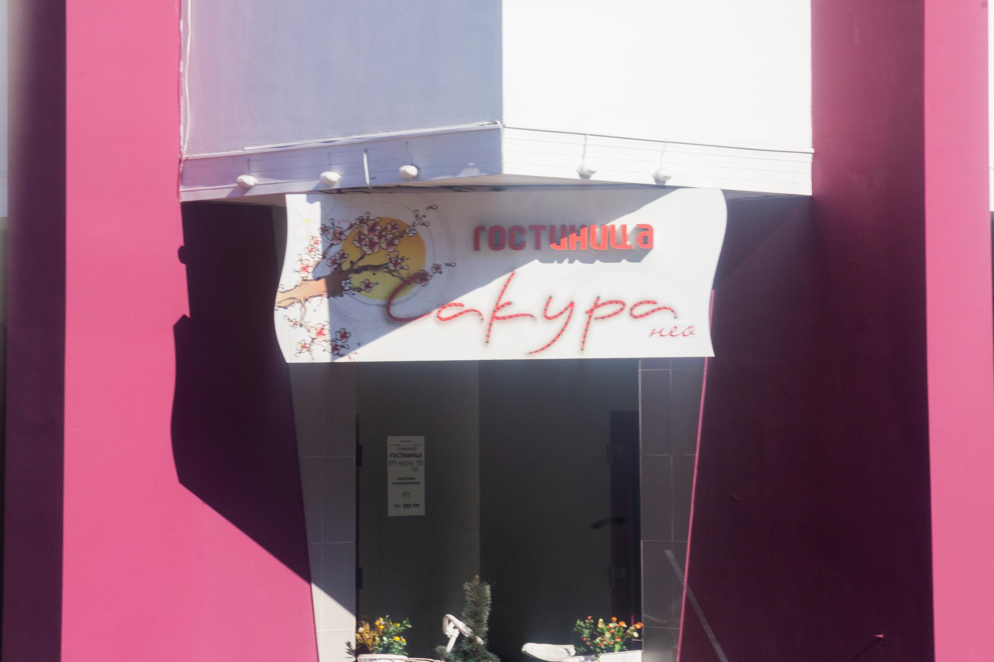 Фото Сакура Нео