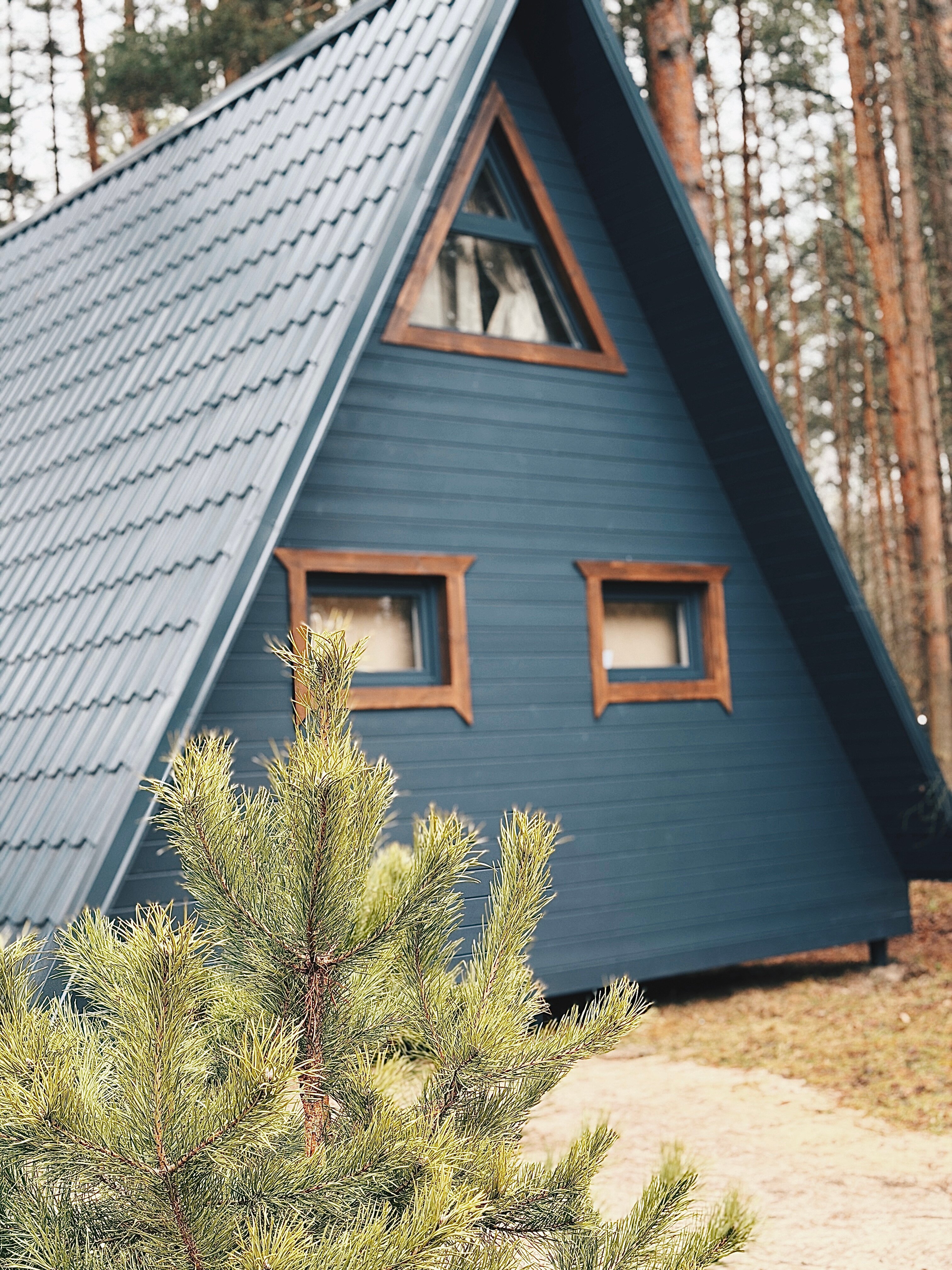 Фото Дубровка