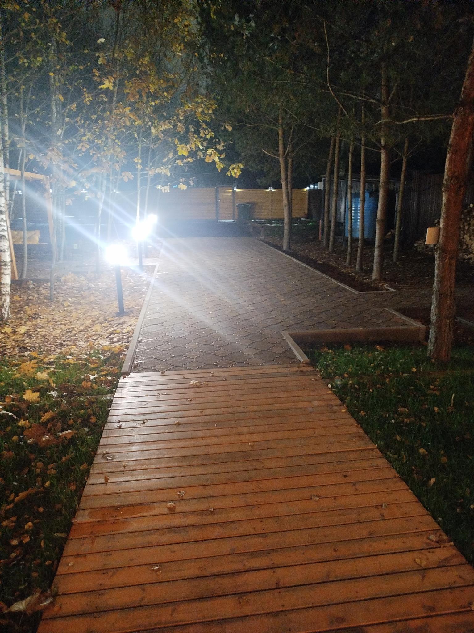 Фото Лесной Шереметьево