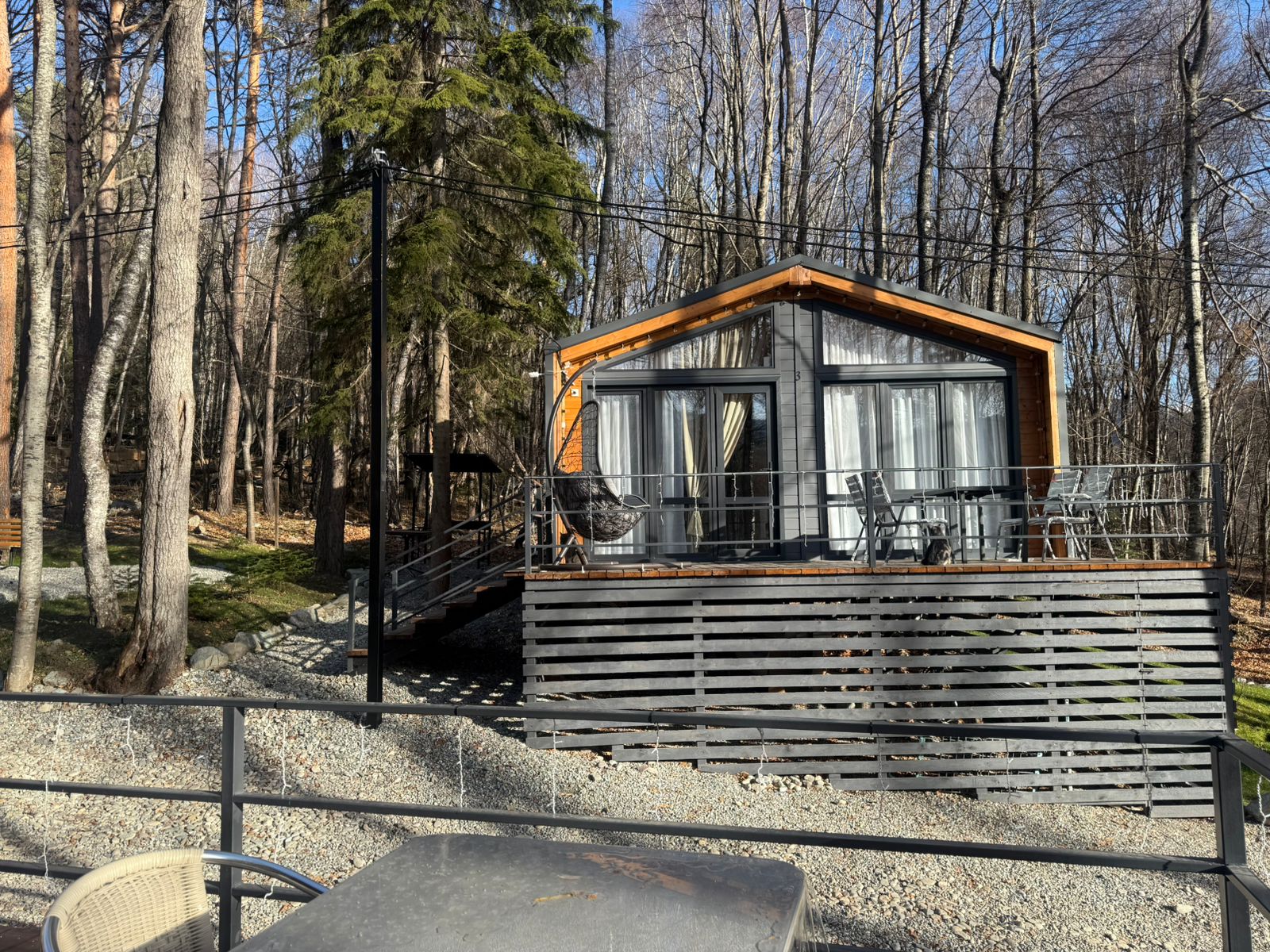 Фото Шёпот Леса