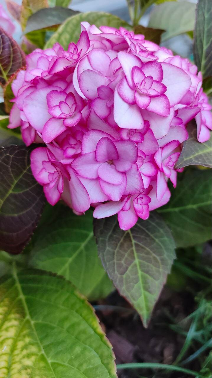 Фото Юг-сервис