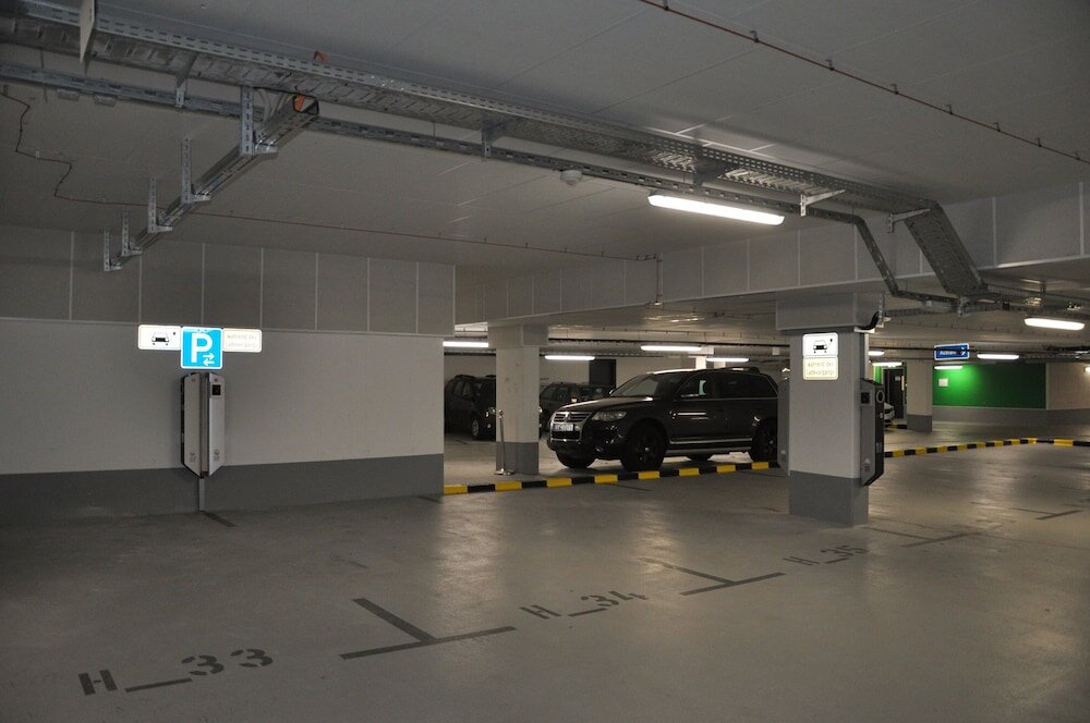 Фото The niu Star