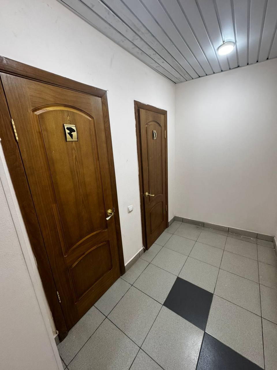 Фото Панда