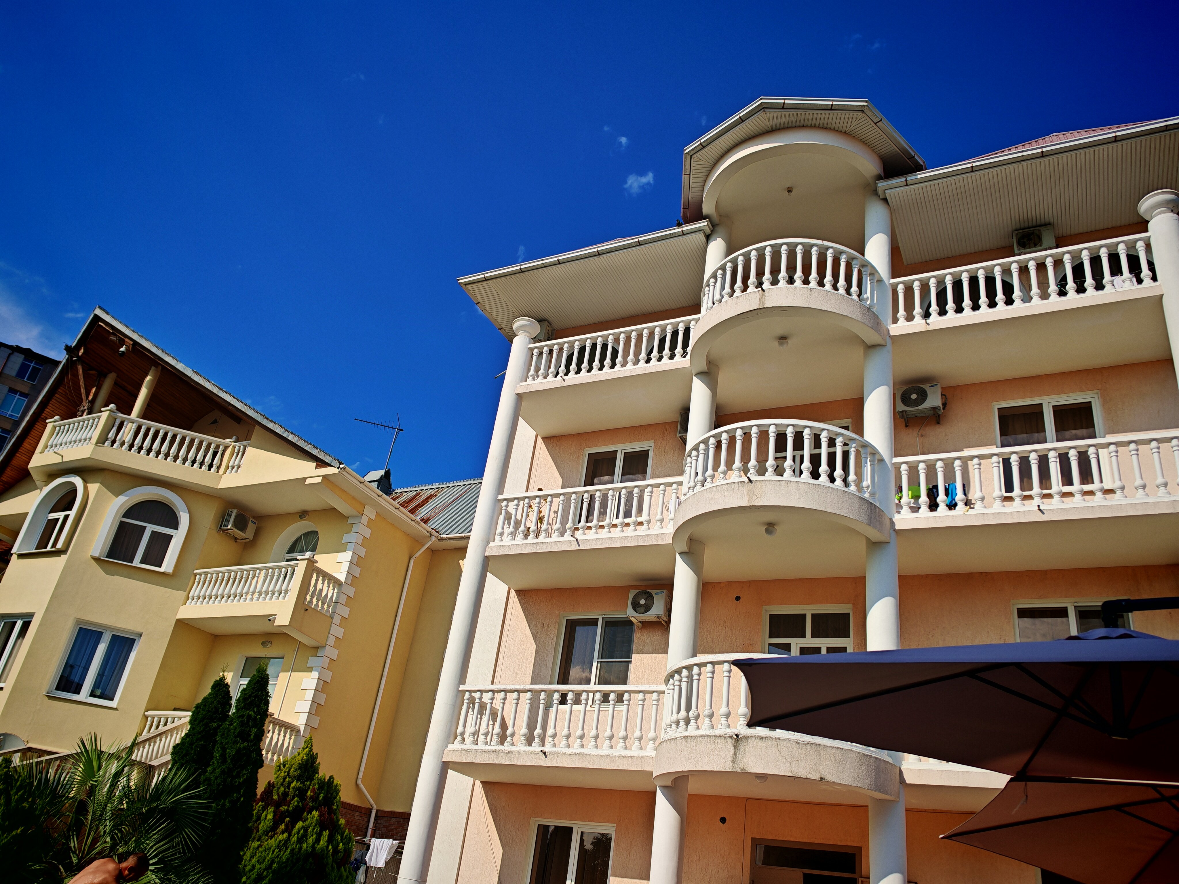 Фото Клевер