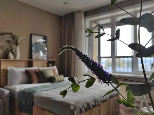 Rasko Home  фото 4