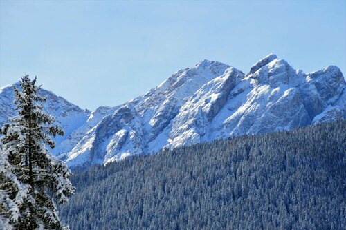 Внешний вид отеля Hotel Chalet Olympia в Вельсберг-Тайстене - Монгельфо-Тезидо, фото 3
