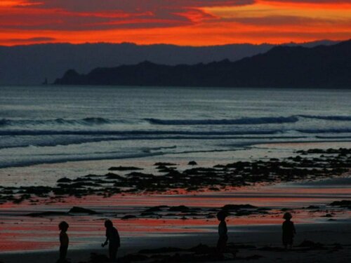 Гостиница Waikanae Beach Top 10 Holiday Park в Гисборне