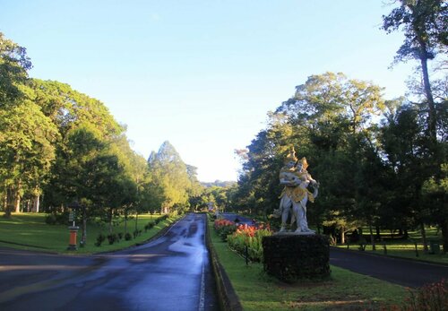 Внешний вид отеля Clv Hotel & Villa в Кандикунинге, фото 5