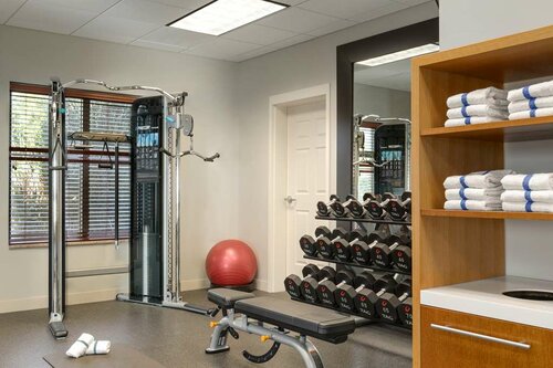 Гостиница Hilton Garden Inn Fort Myers Airport/FGCU в Форте Майерсе