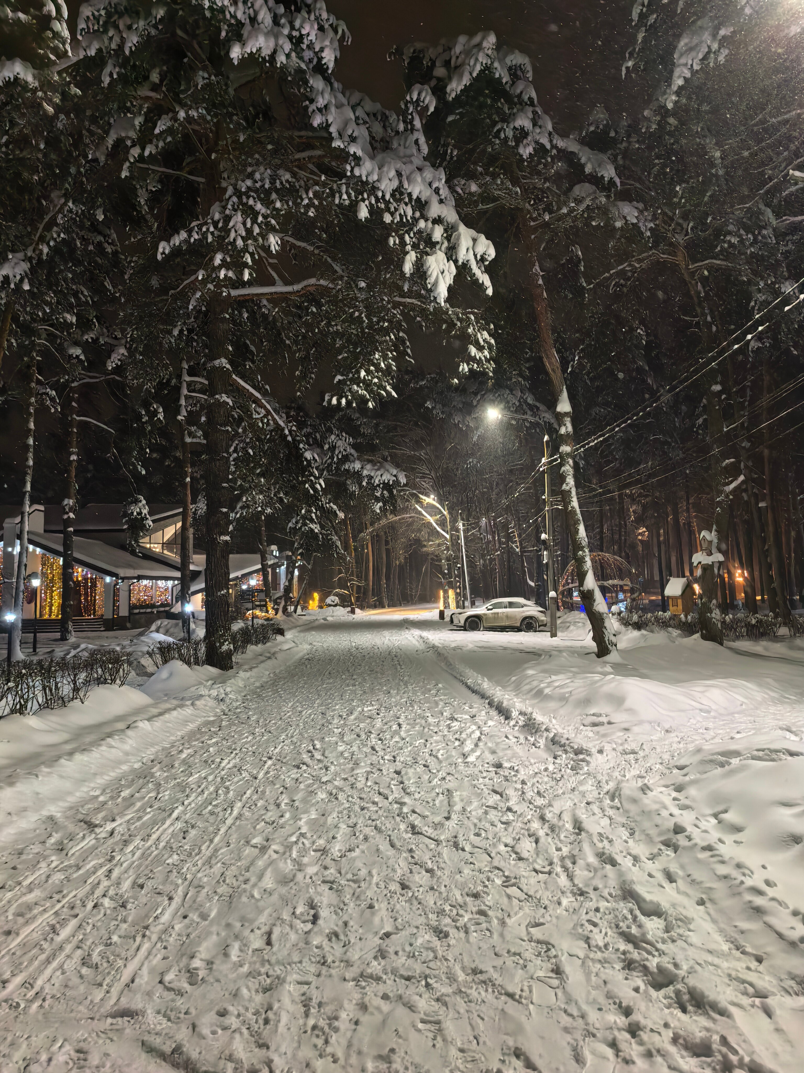 Фото Парк-отель «Русский»
