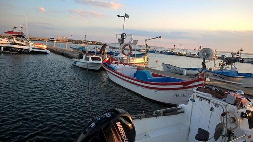 Гостиница Guest House Byki в Елените