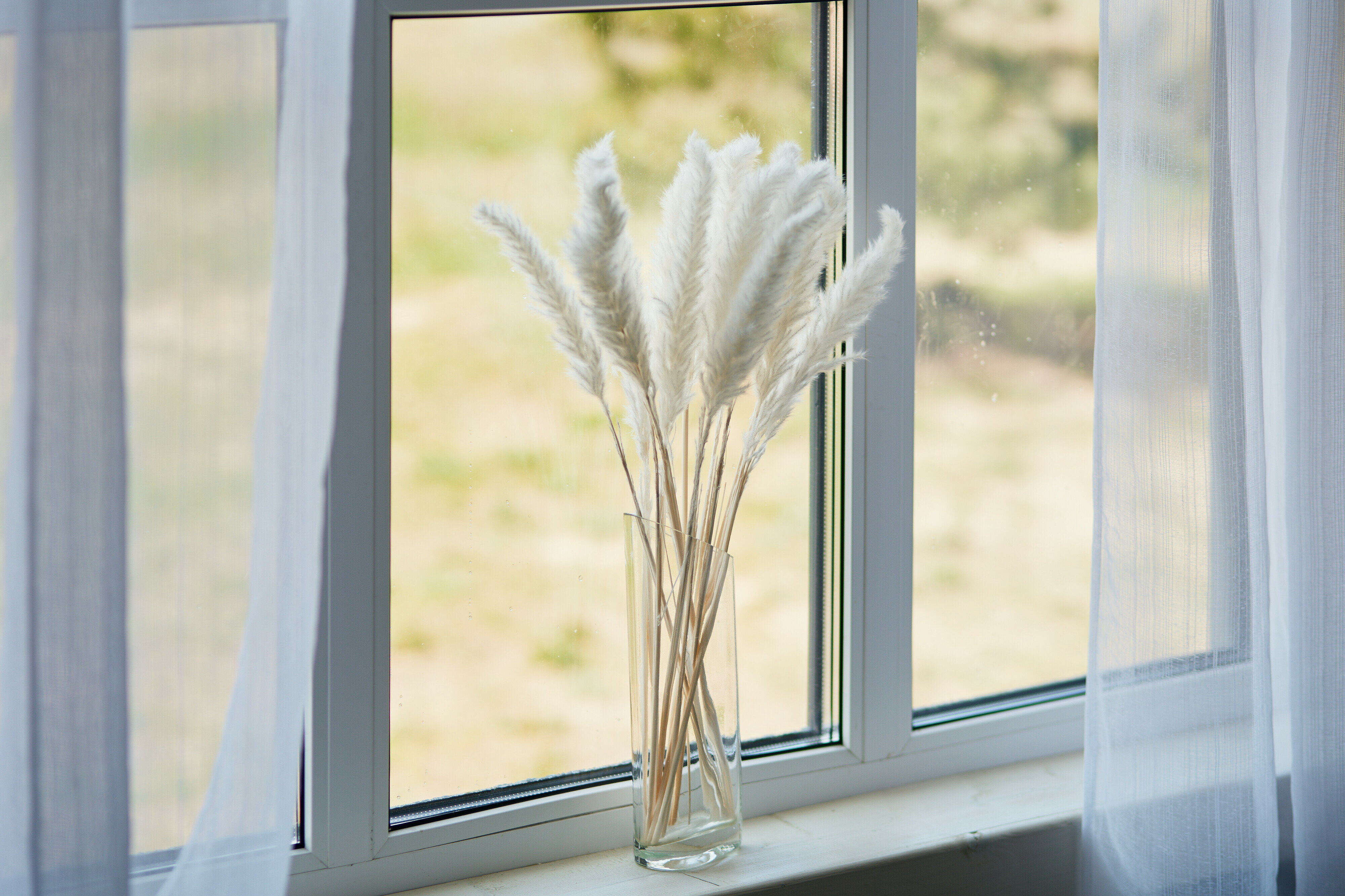 Фото Seliger. village