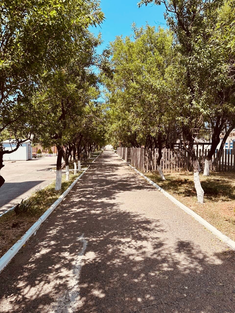 Фото Star Resort