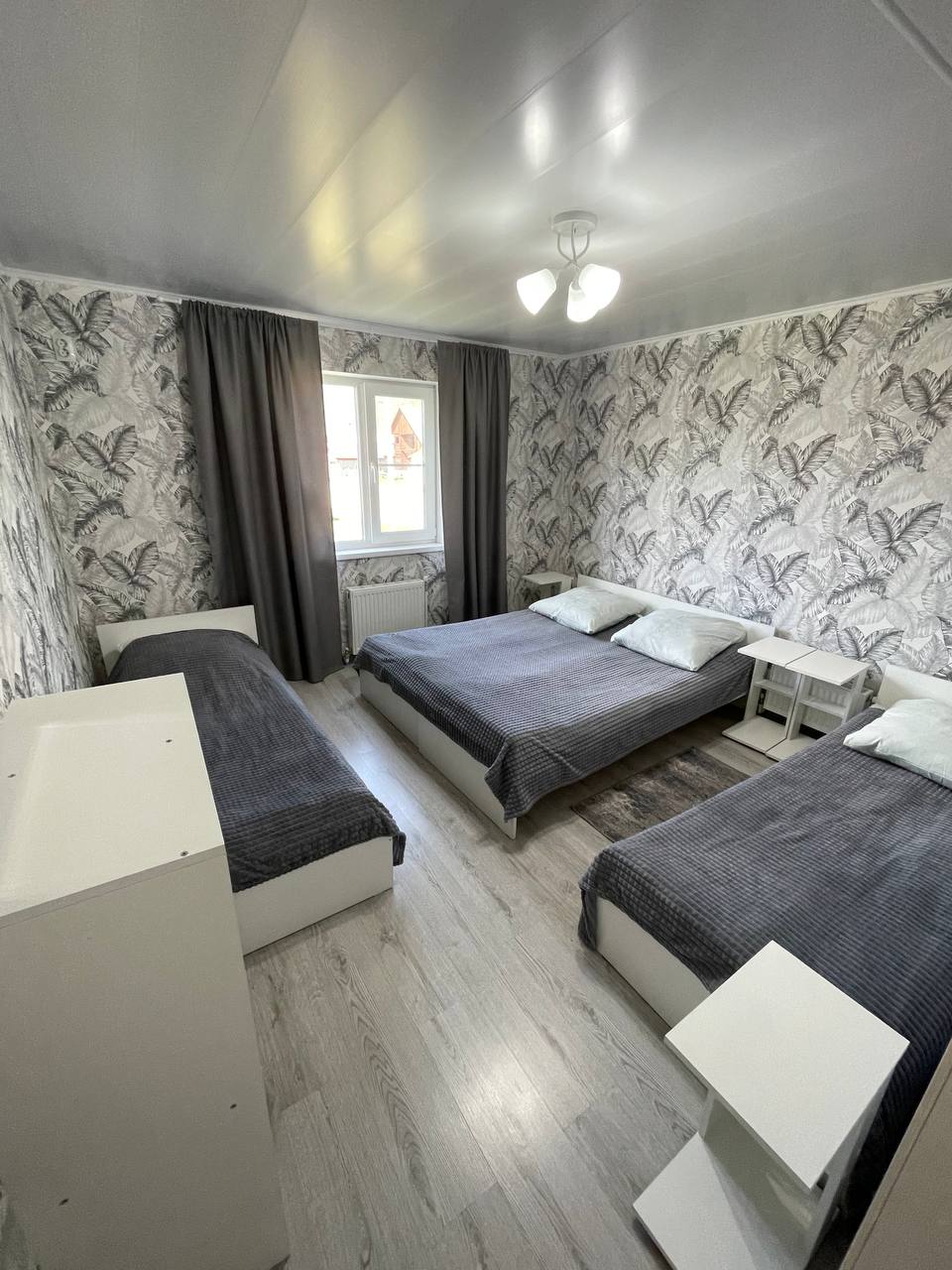 Фото Дикий Еж