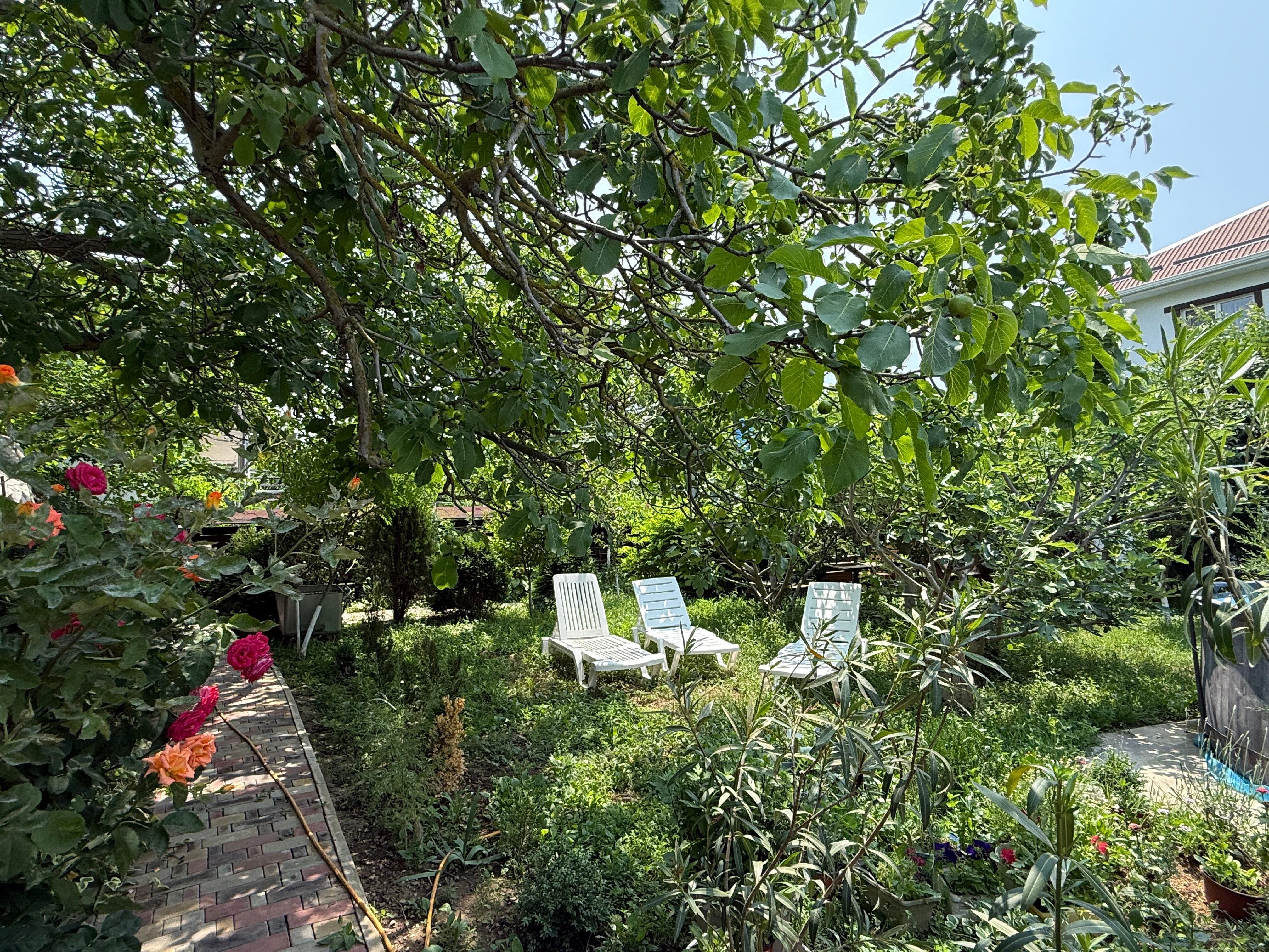 Фото Green House