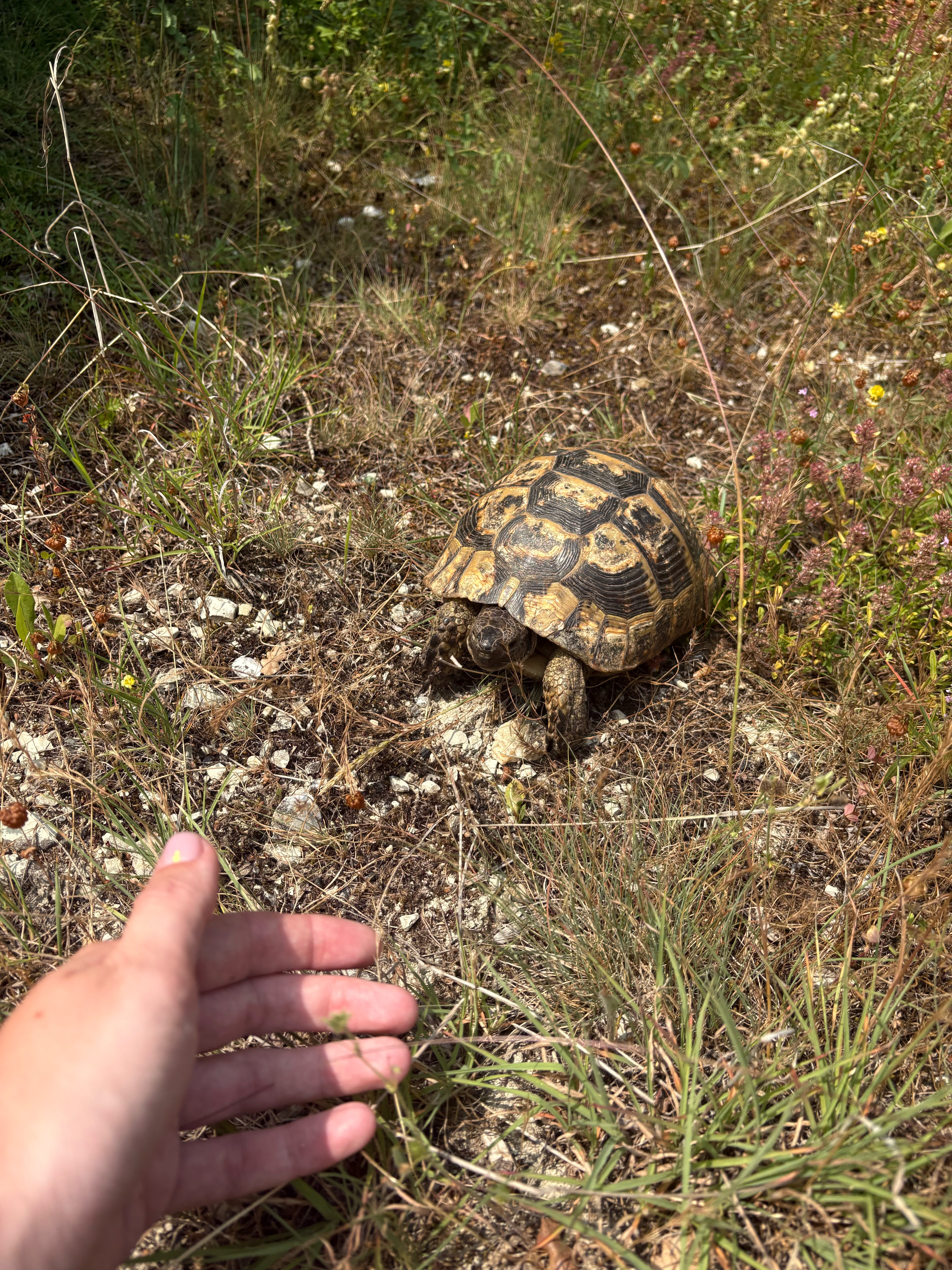 Фото Можжевеловая Роща