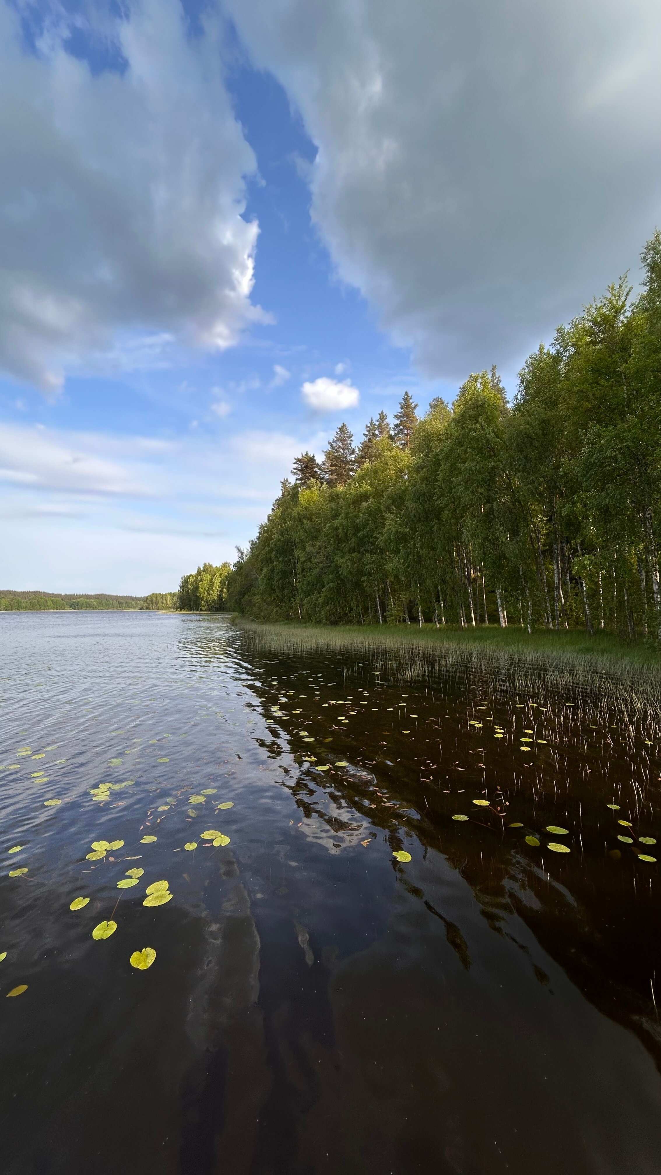 Фото Спринг Вилладж