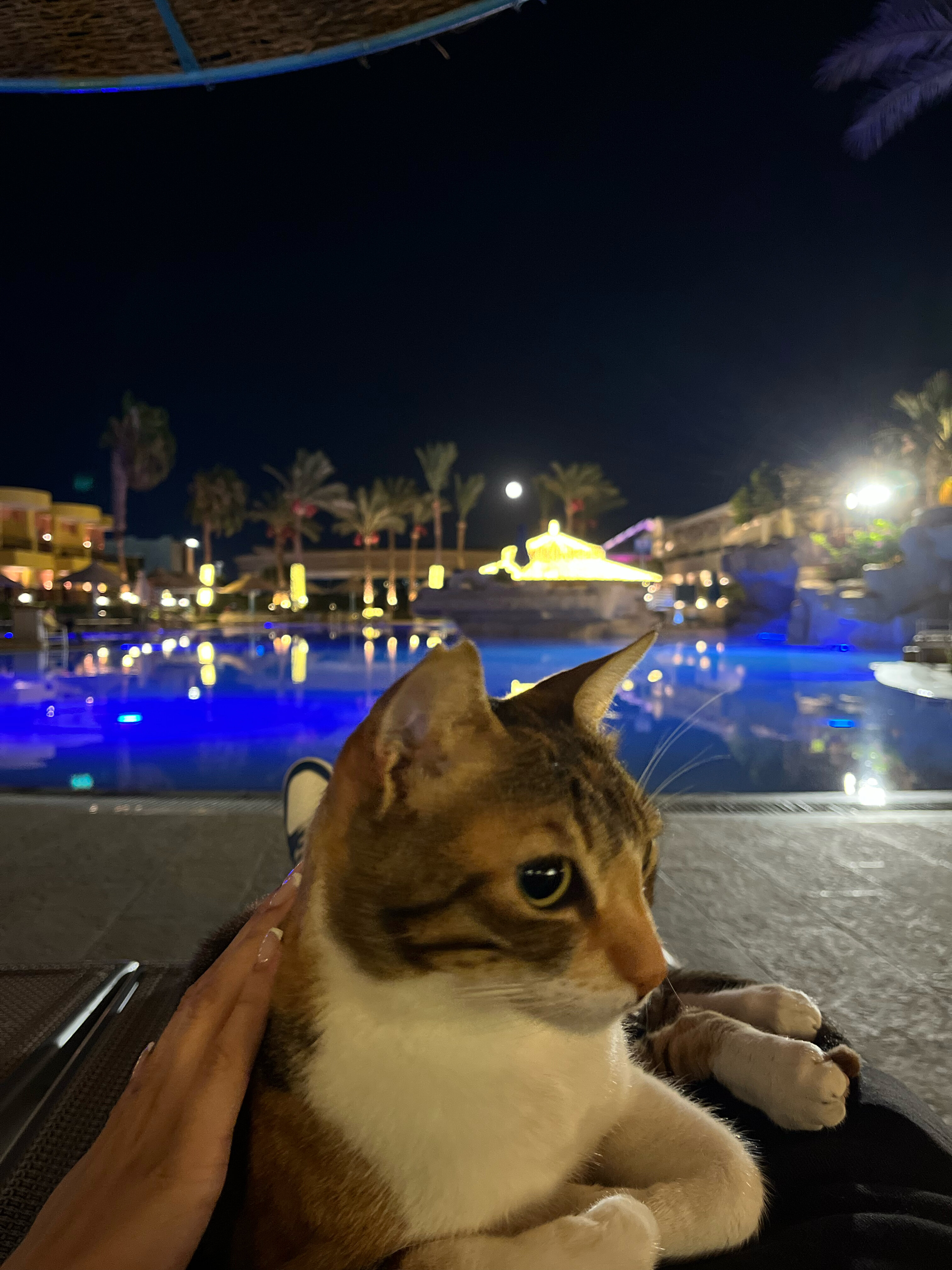 Фото Sierra Sharm El Sheikh