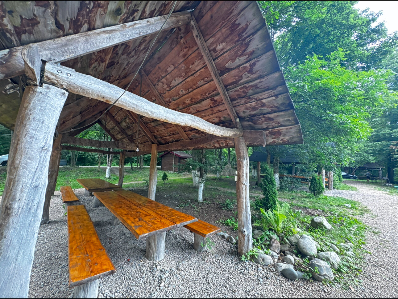 Фото Кактус Арт