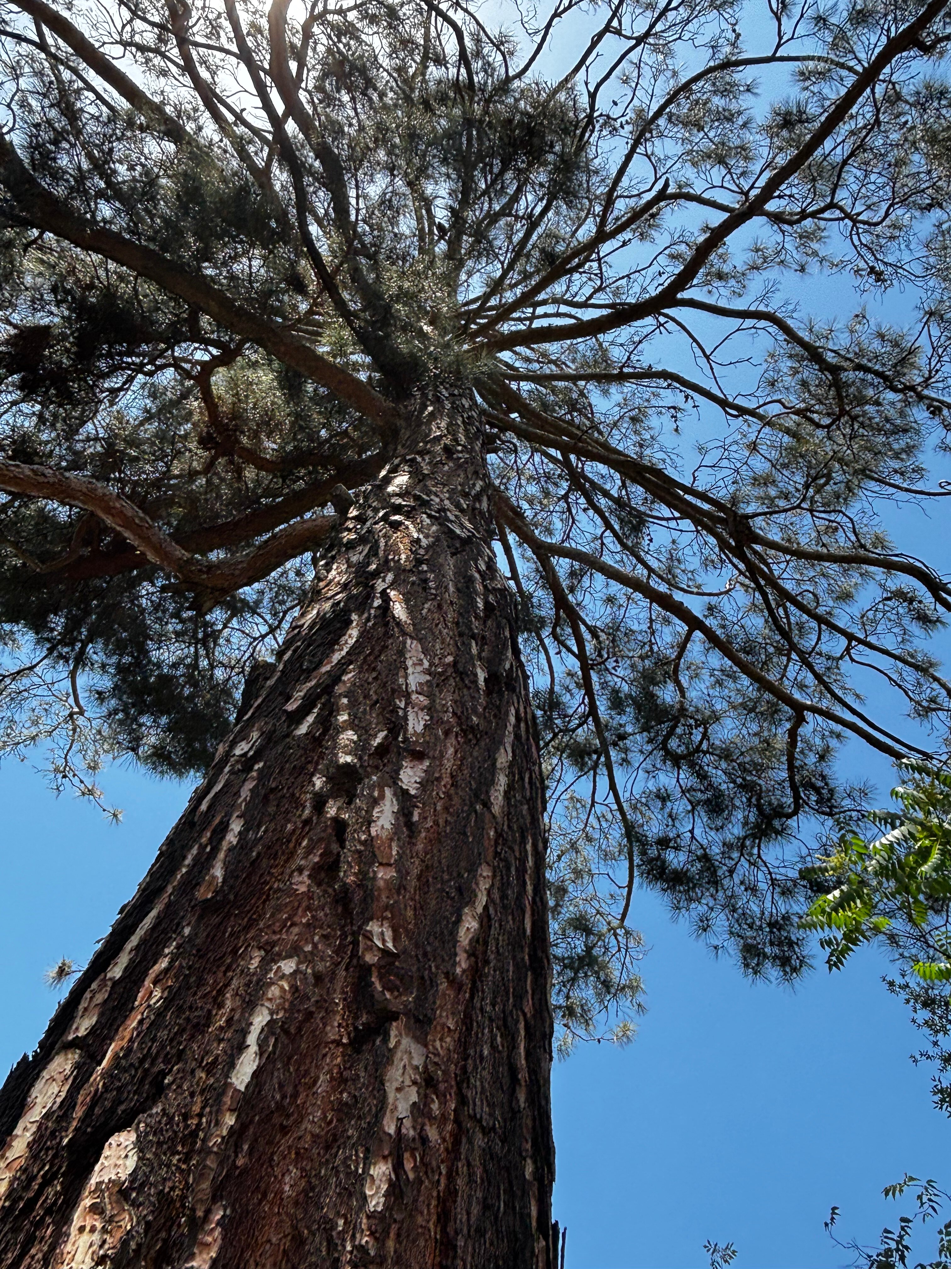 Фото Tbilisi Inn