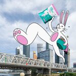 My Rabbit! (Butlerova Street, 17), household goods and chemicals shop