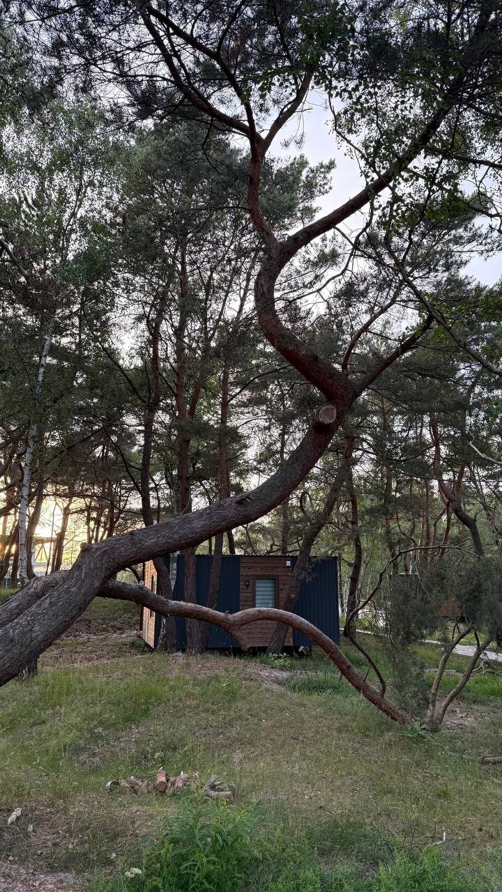 Фото Балтийские Холмы