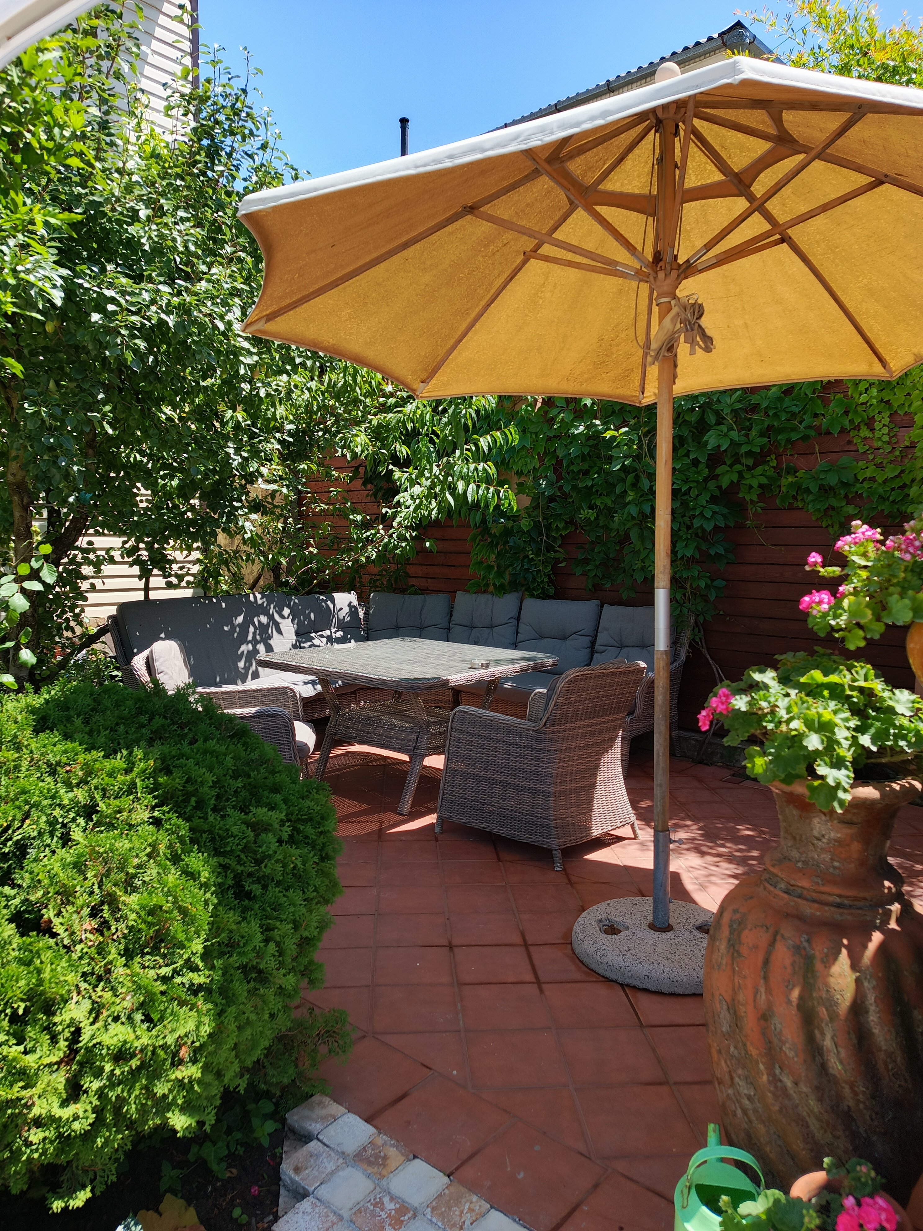 Фото Димерчи