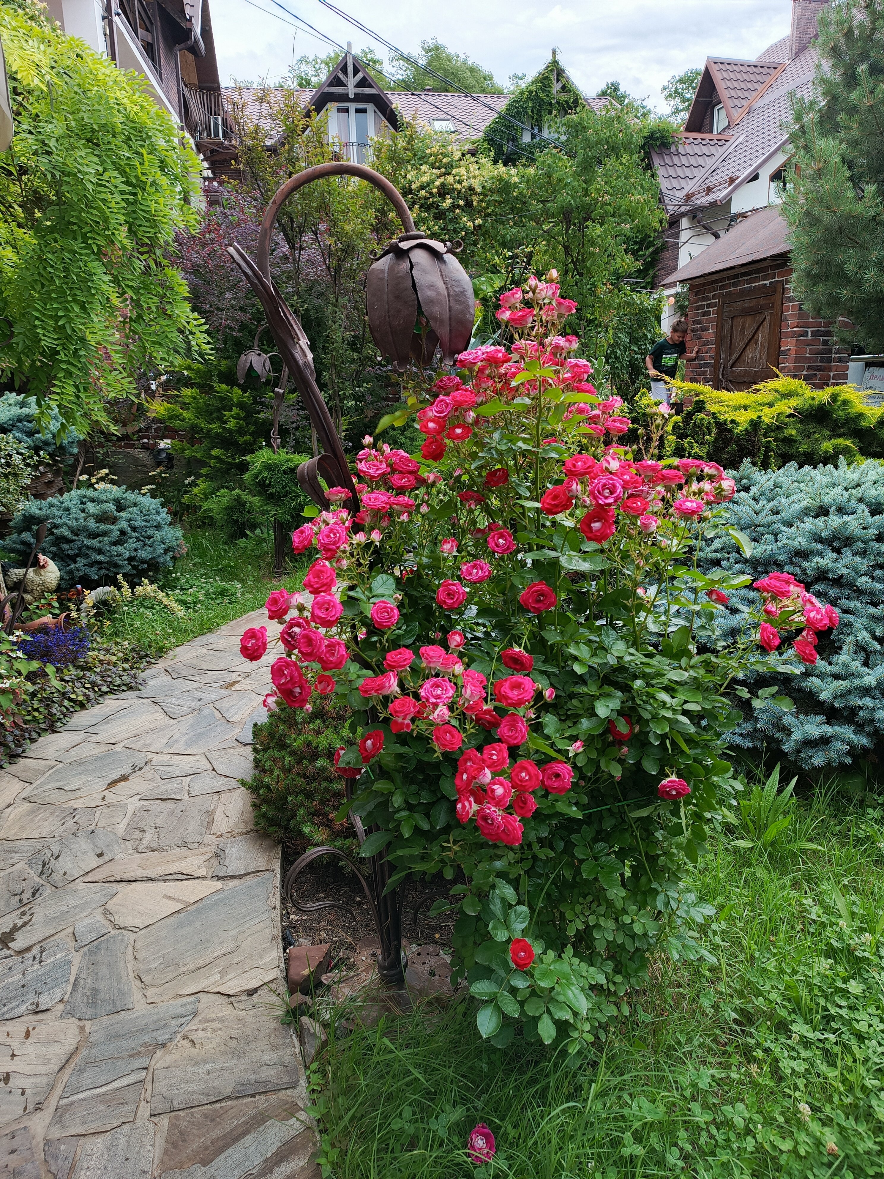 Фото Димерчи