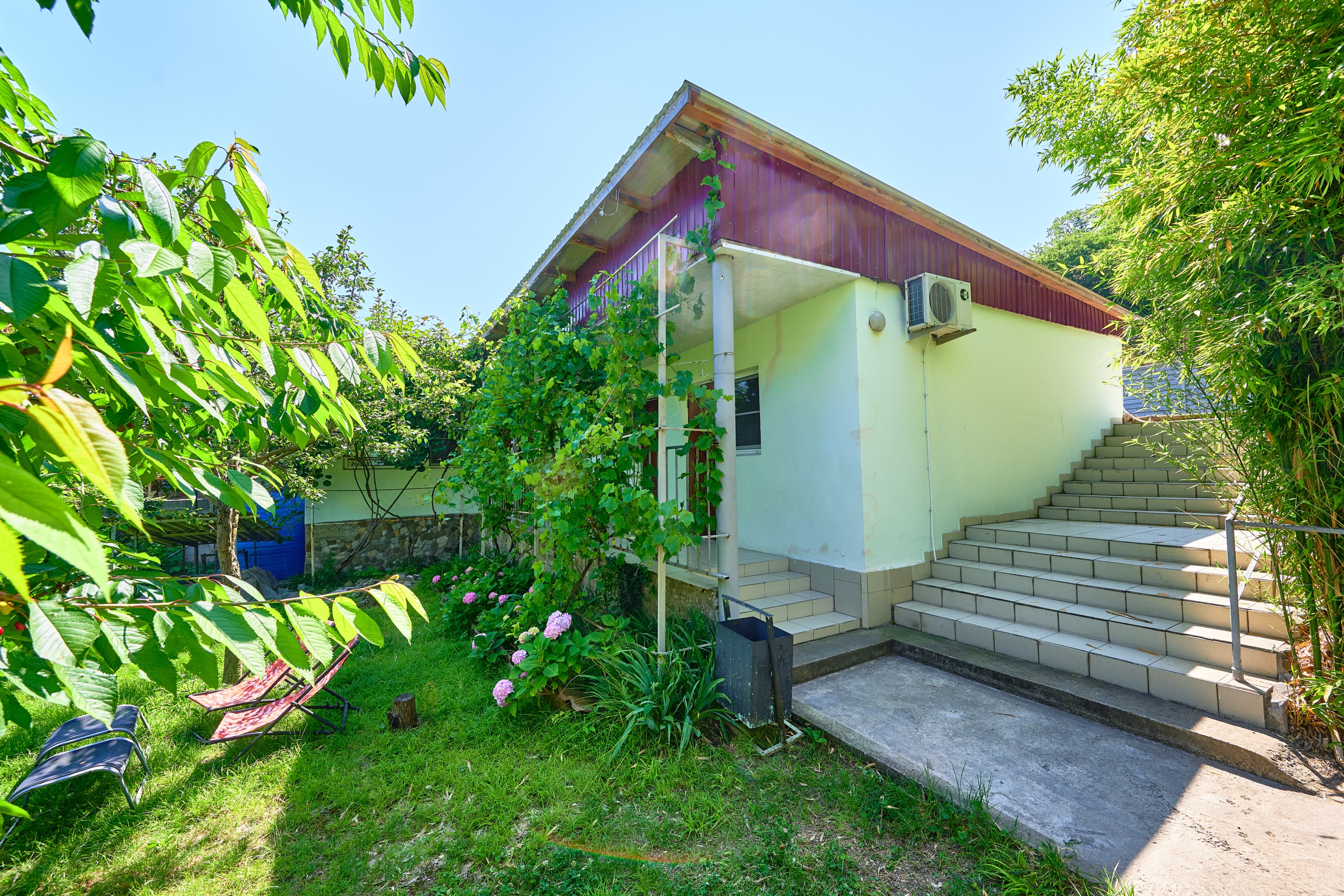 Фото Мечта - 3