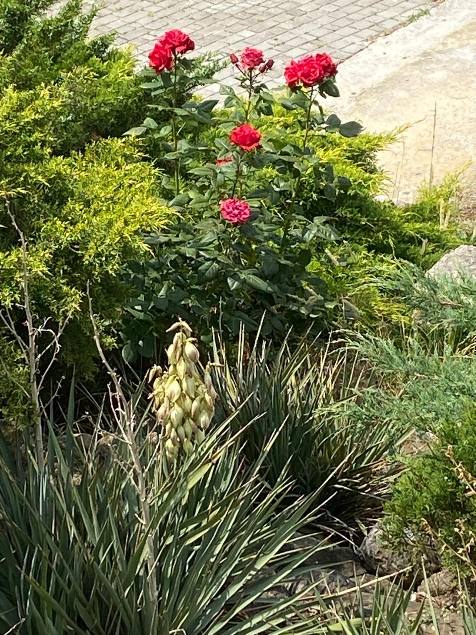 Фото Морской