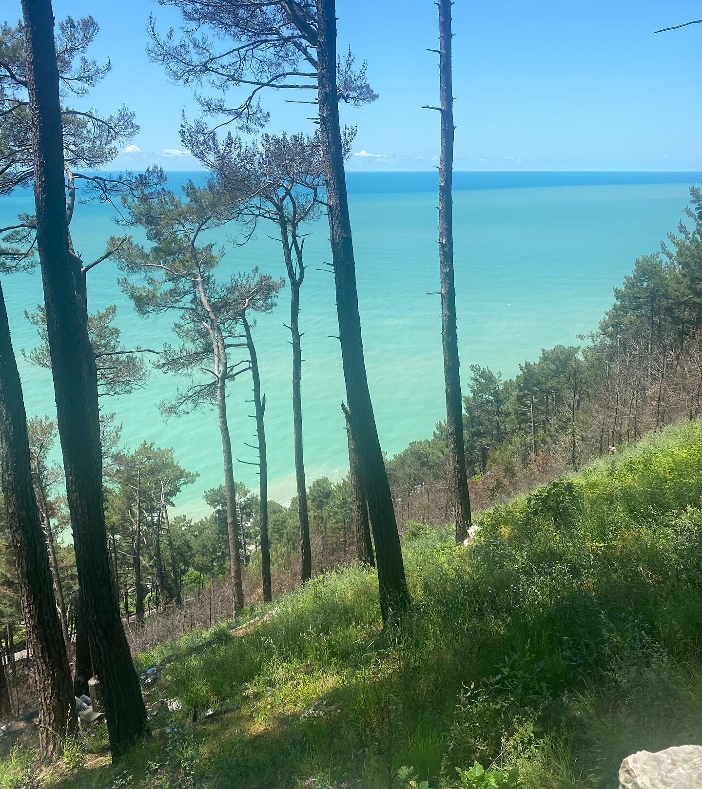 Фото Пансионат Багрипш