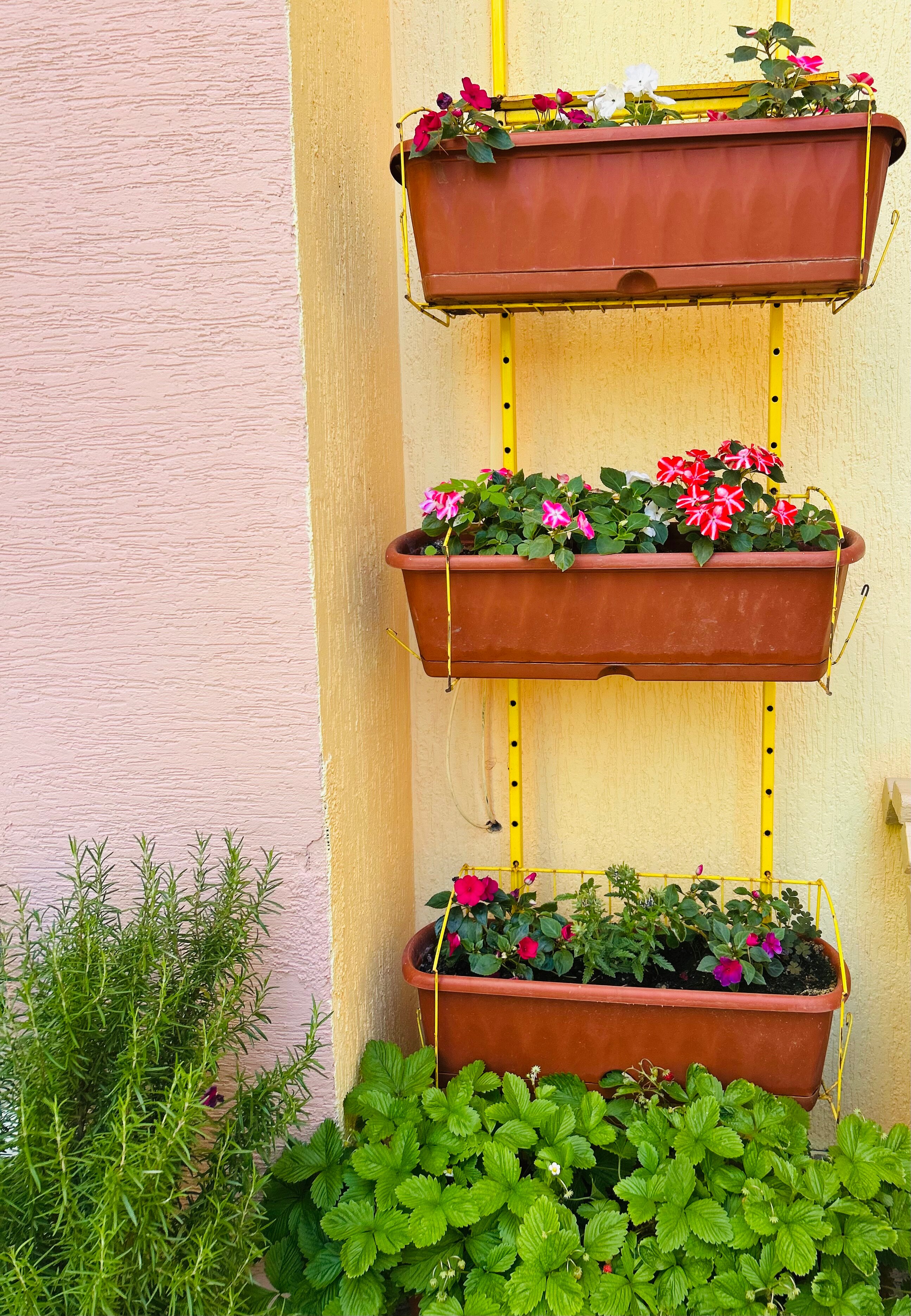 Фото Белый Фламинго