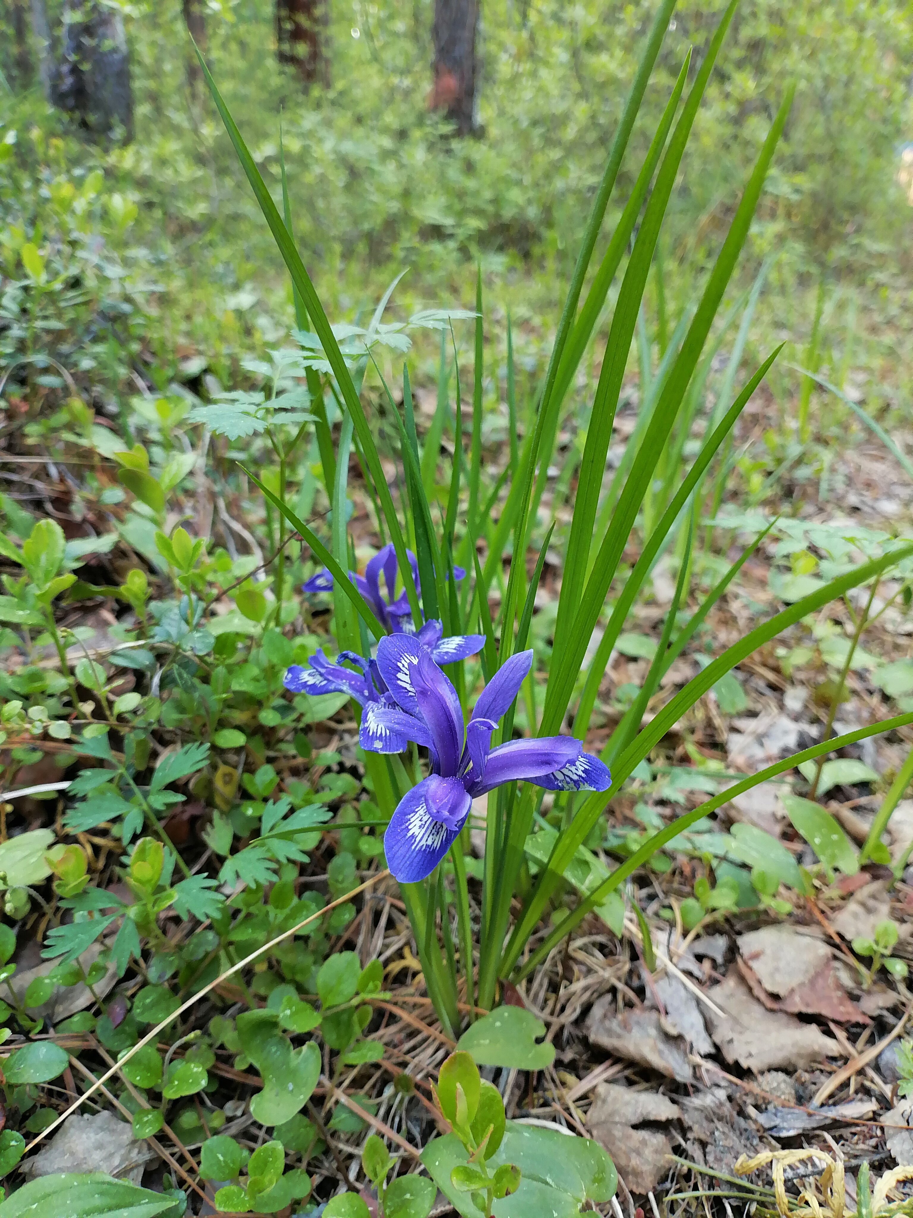 Фото Курорт Горячинск, филиал СКУП РБ Байкалкурорт