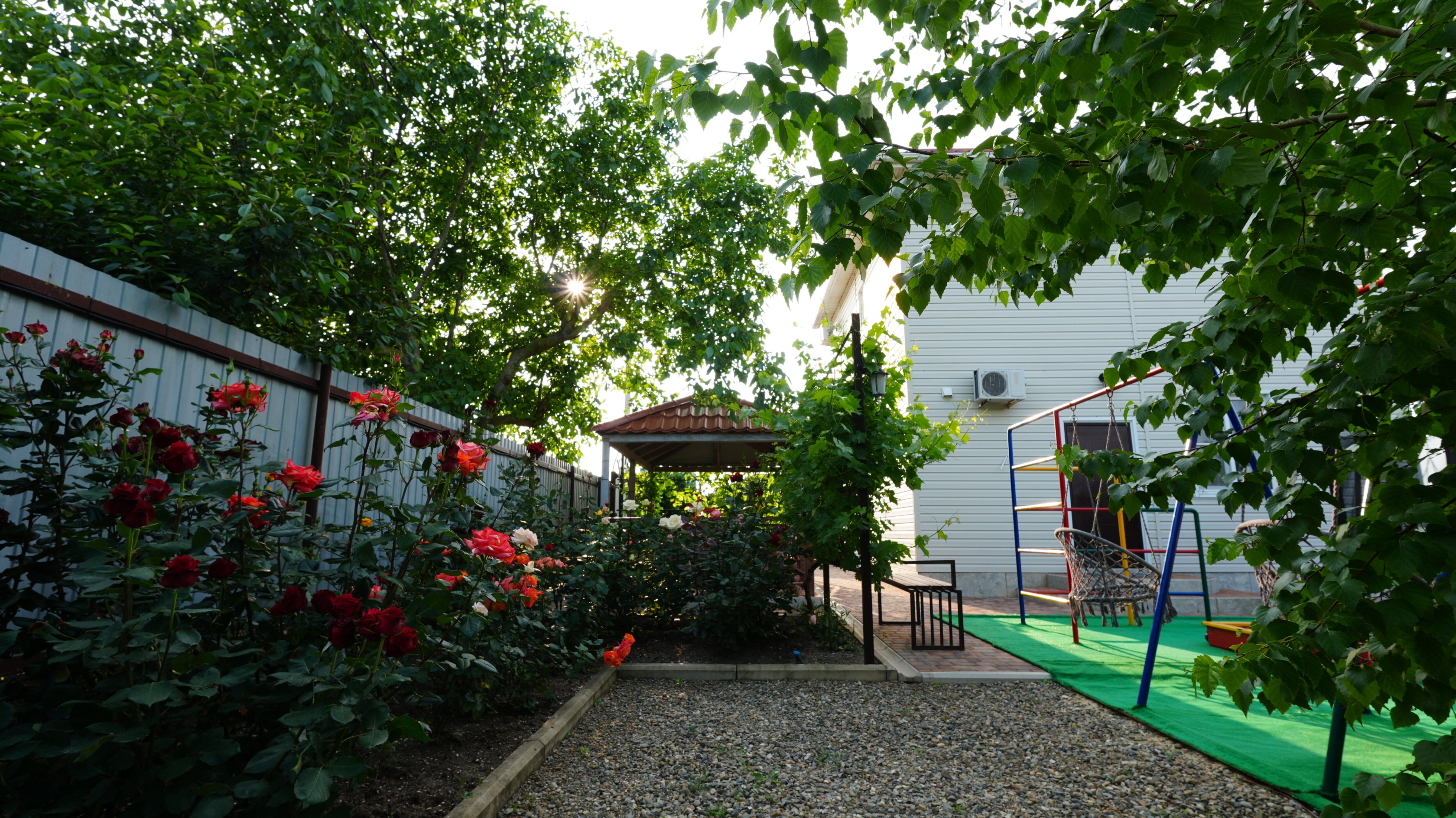 Фото 38 Попугаев