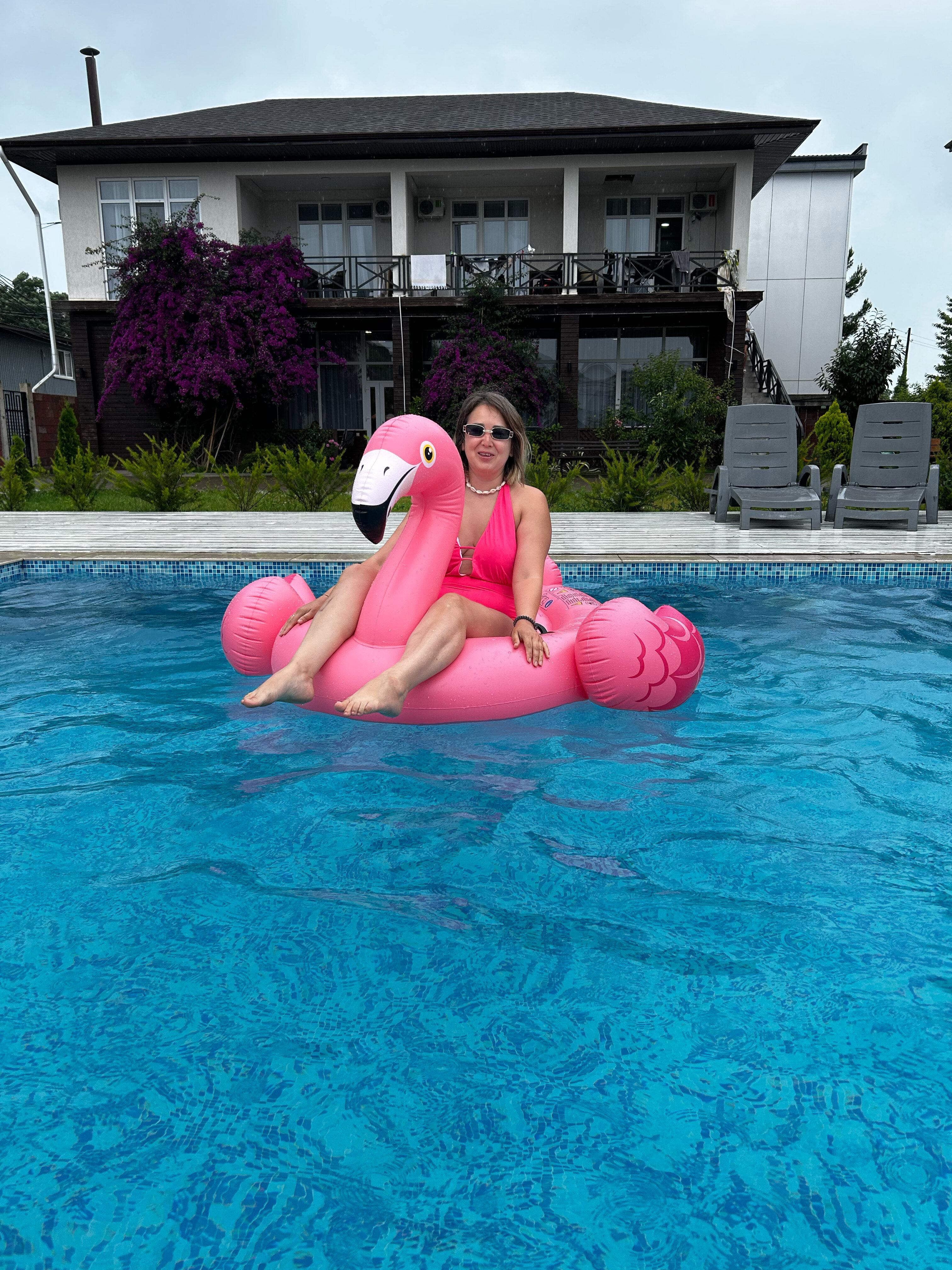 Фото Бугенвиллея