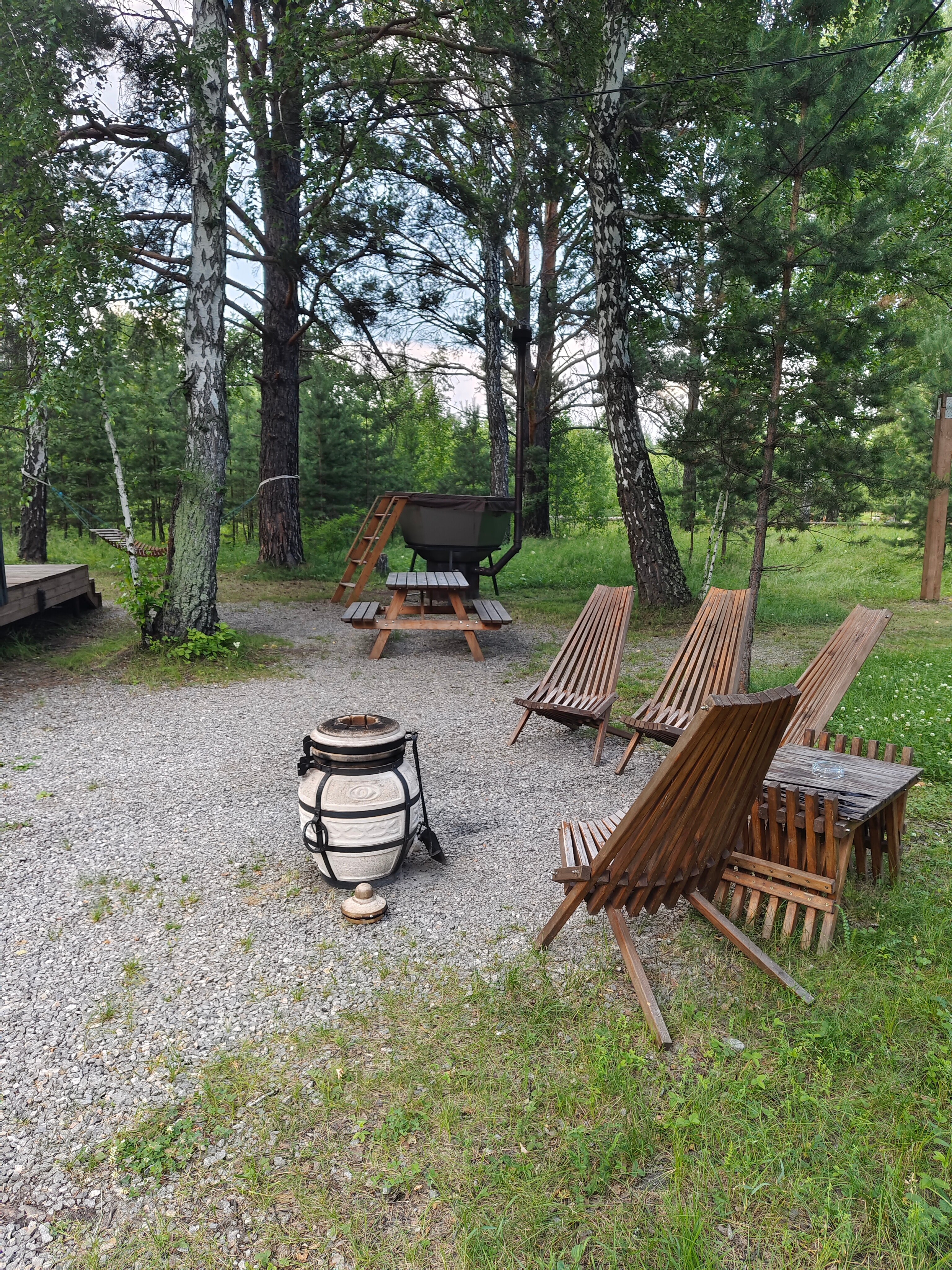 Фото Ветер в соснах